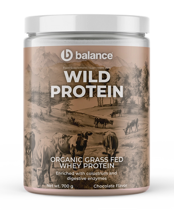 Wild Protein Czekoladowy